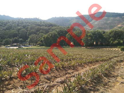 cb7dabaf-d49e-4fda-bd41-d3e80c2f9e82