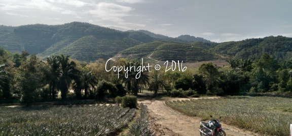 IMG 20220214 100614