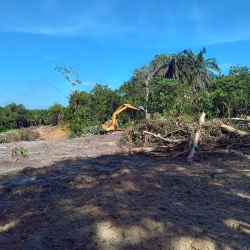 Kebun Nibong Tebal